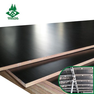 Phenolic Film Gesiicht Spärholz